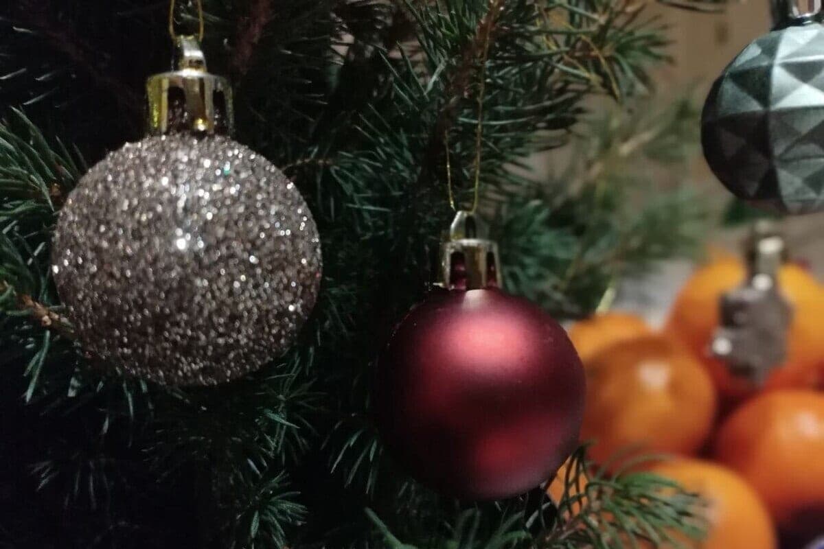 Kaliningrad residents called the reason for the appearance of Christmas trees in stores in autumn