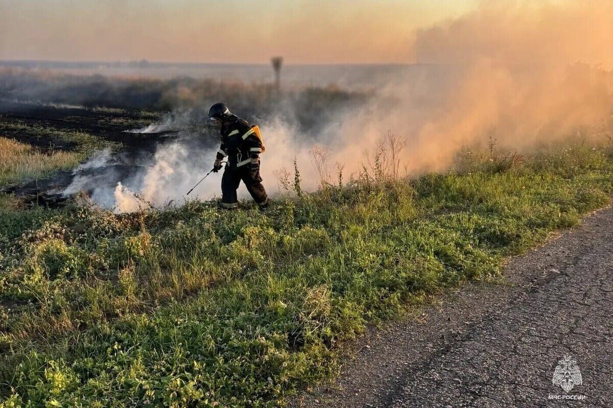 High fire hazard will remain in the Zaporozhye region until October 13