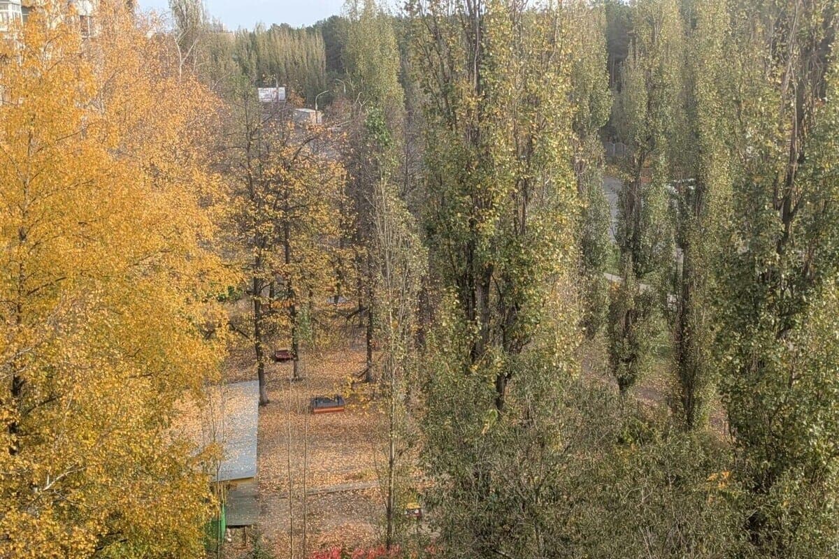 Became known detailed weather forecast in Voronezh on October 23
