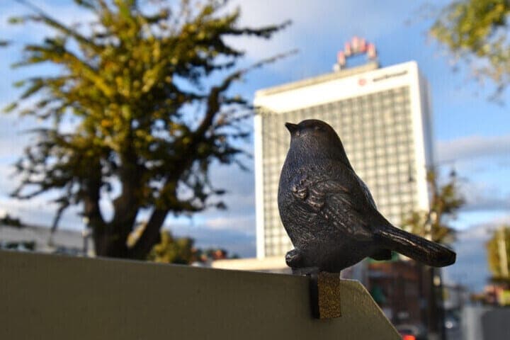 What will be the weather in the Ulyanovsk region on October 9