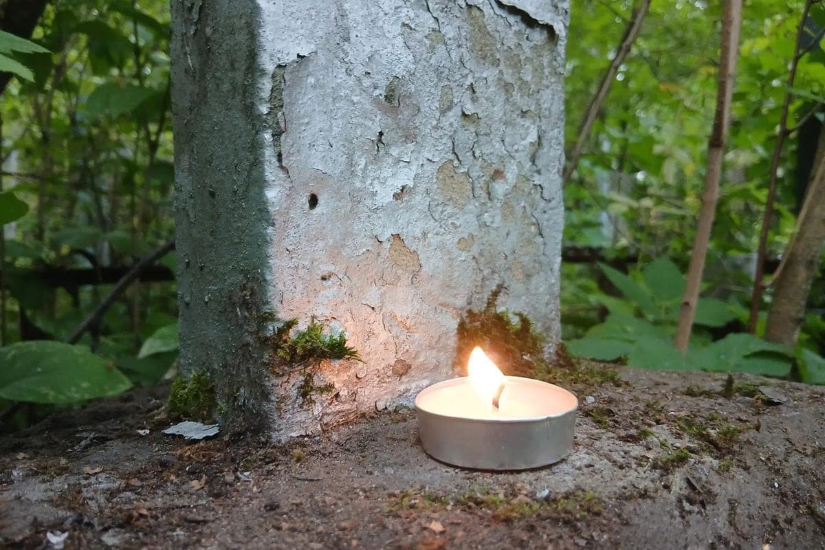 In St. Petersburg was held on the last journey of the actor “Bandit Petersburg”