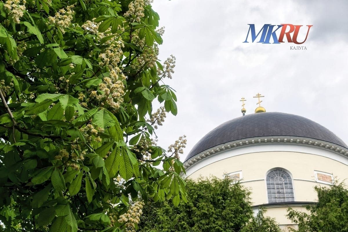 Elected vicar bishop of the Kaluga diocese