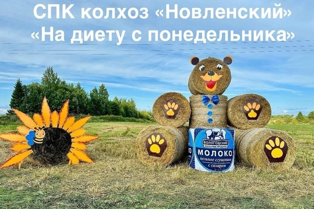 The results of the contest “SenoFest” summed up in the Vologda district