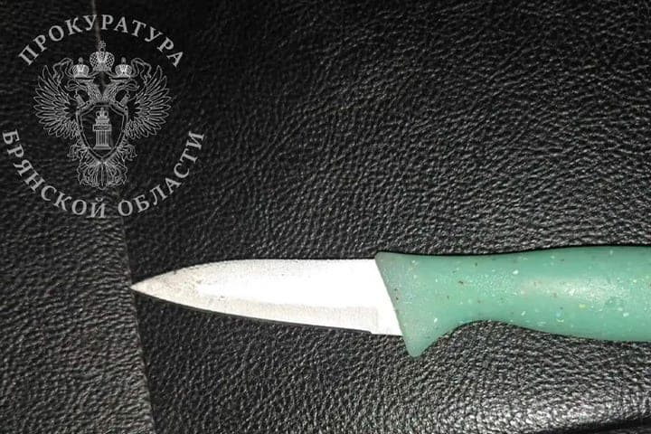 В Брянске 19-летнего жителя Дятьково арестовали по делу о нападении с ножом