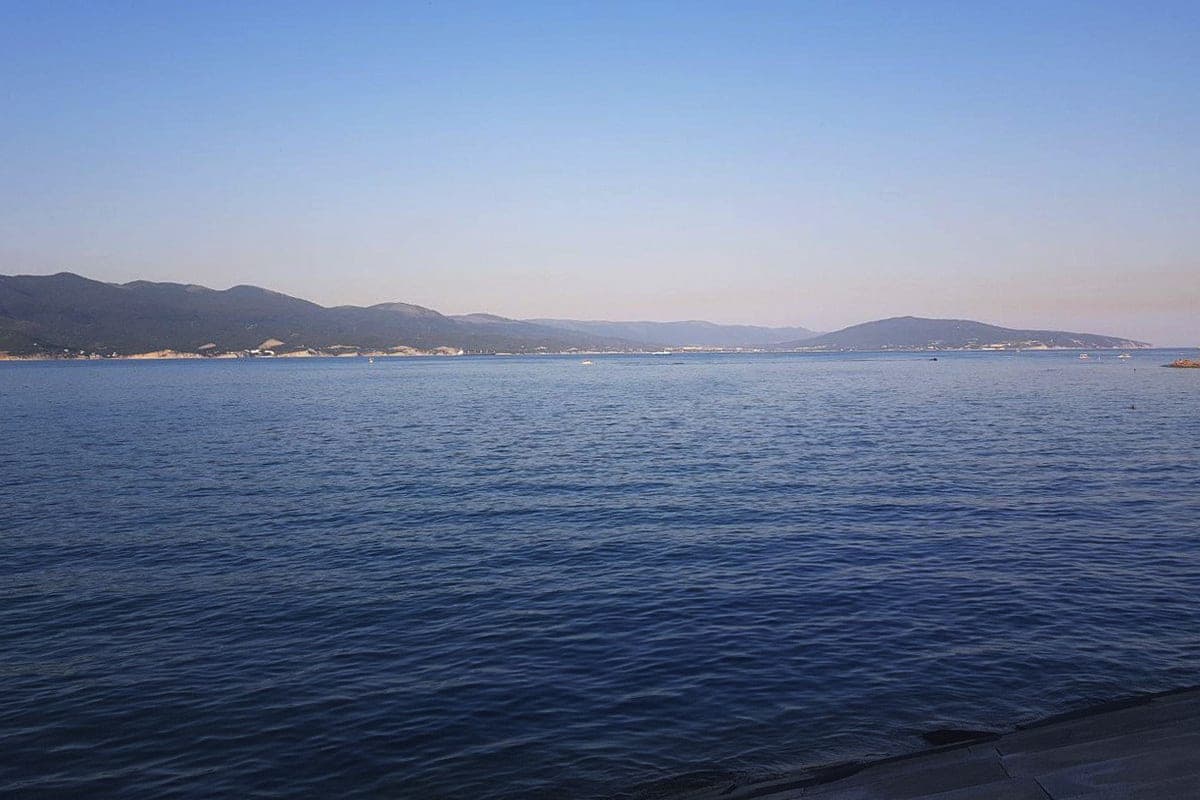 Residents of Novorossiysk warned of loud shootings on October 12