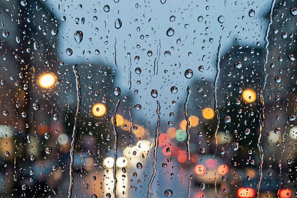 Wet Friday erwartet Pskovites
