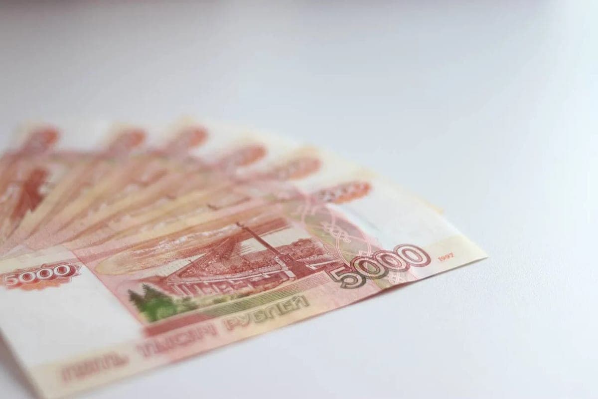 До 350 тысяч рублей могут получить жители Калининградской области на свой бизнес