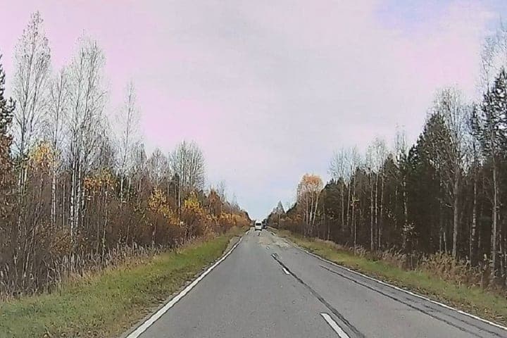 Заброшенный посёлок в Лукояновском районе предложили упразднить