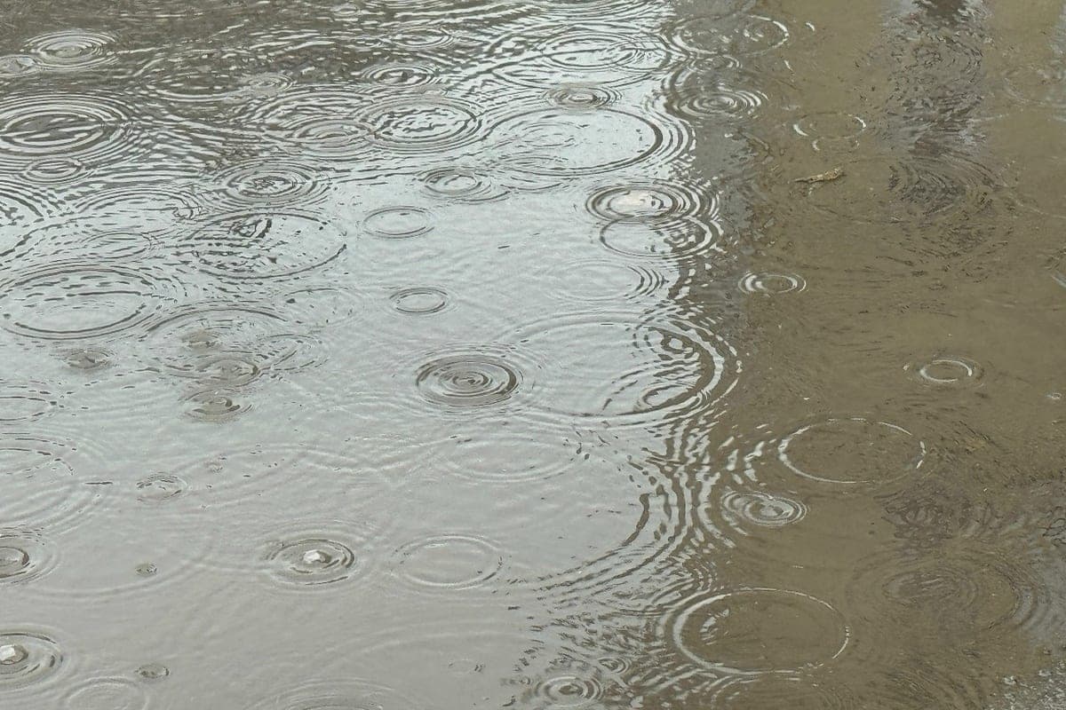 +4 Grad und Niederschlag werden in Komi am 29. Oktober vorhergesagt