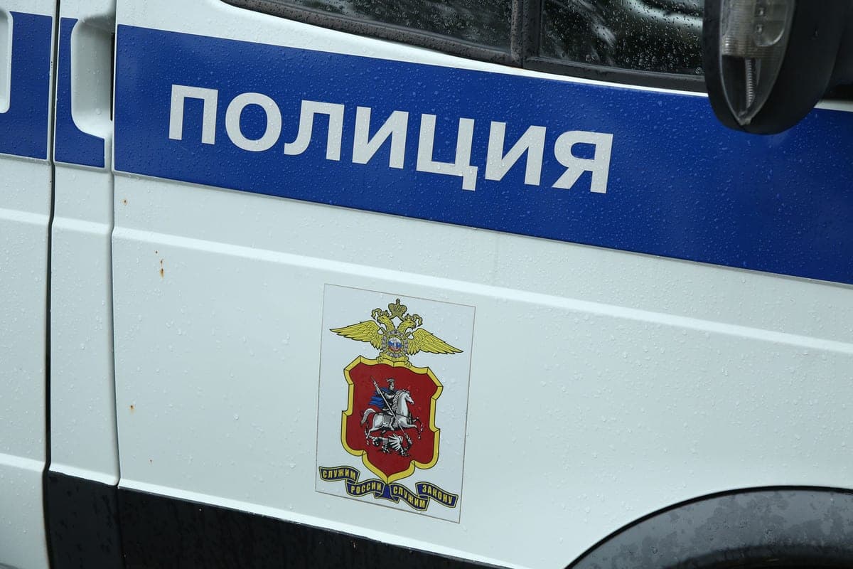Задержан водитель, насмерть сбивший девочку в Хабаровском крае