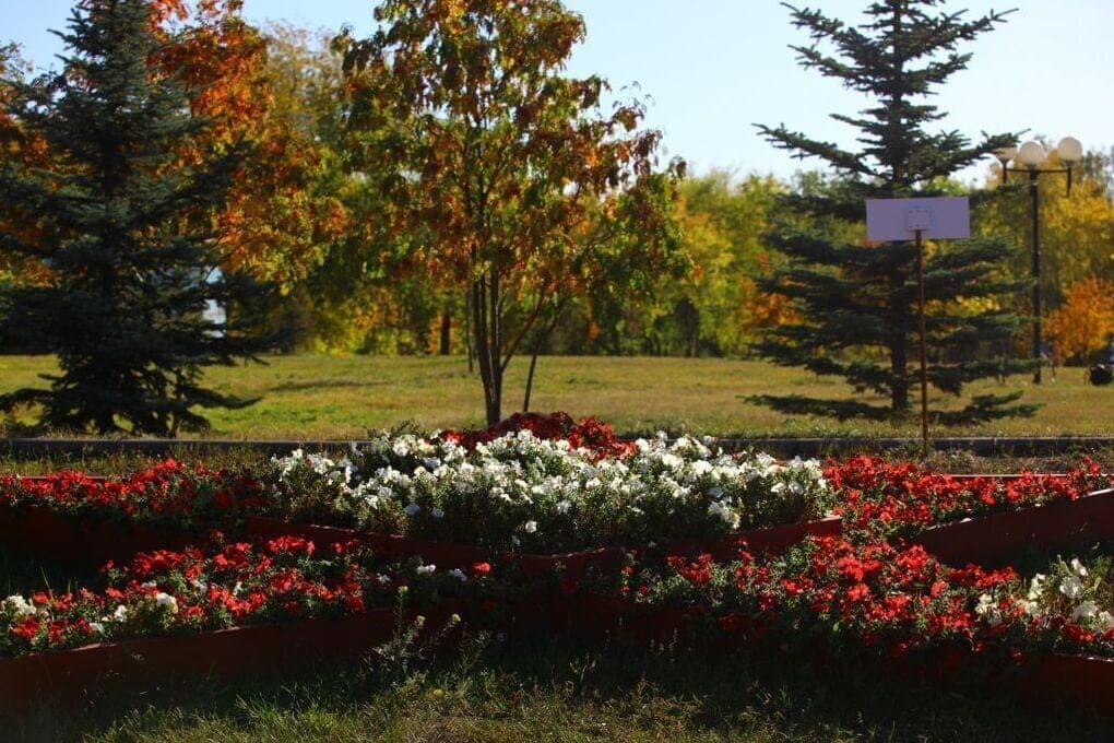 Up to 14 degrees and without precipitation will be on Saturday in the southern Urals