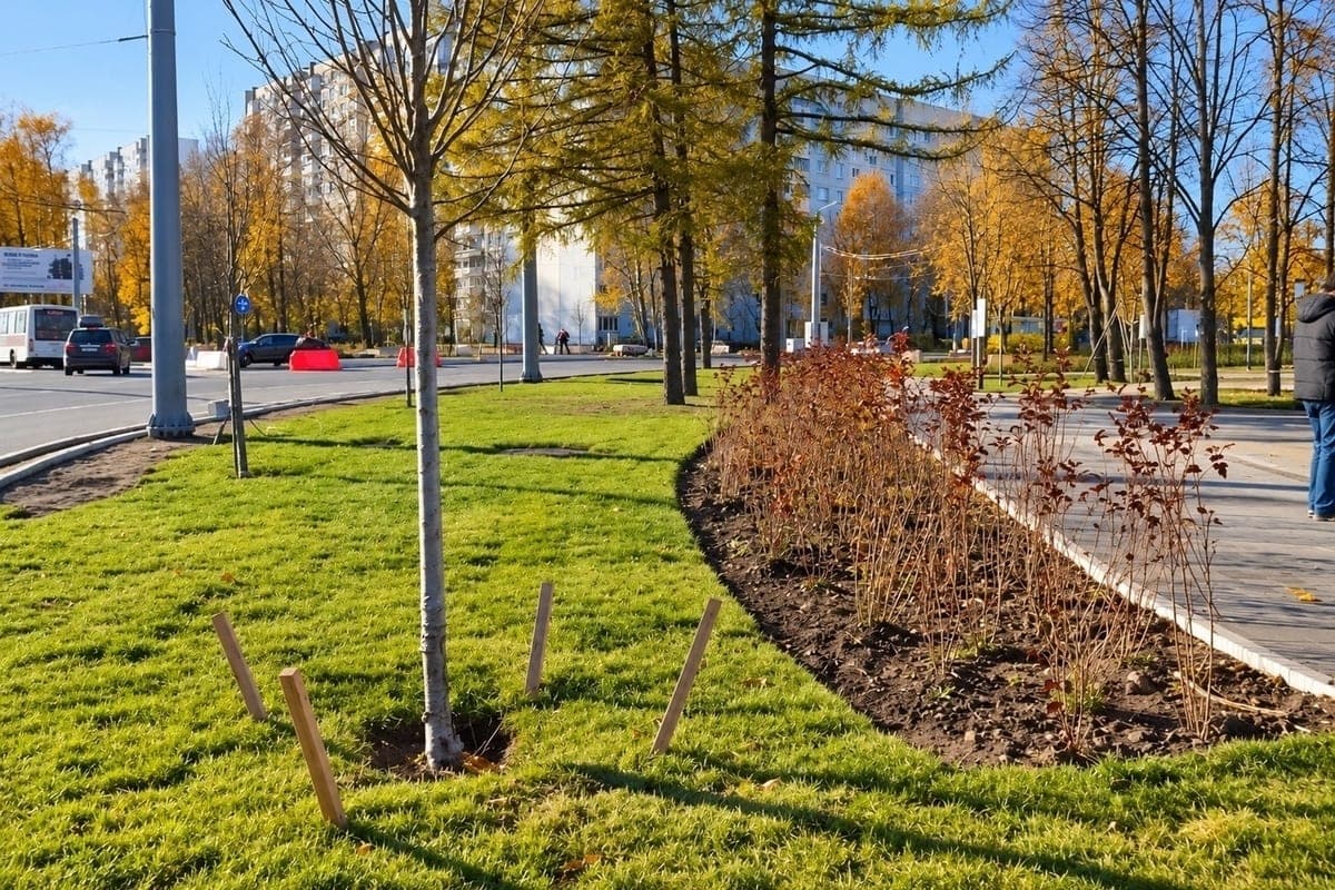 Reconstruction of the road network near the ring on Lezhnevskaya in Ivanovo comes to the finish line