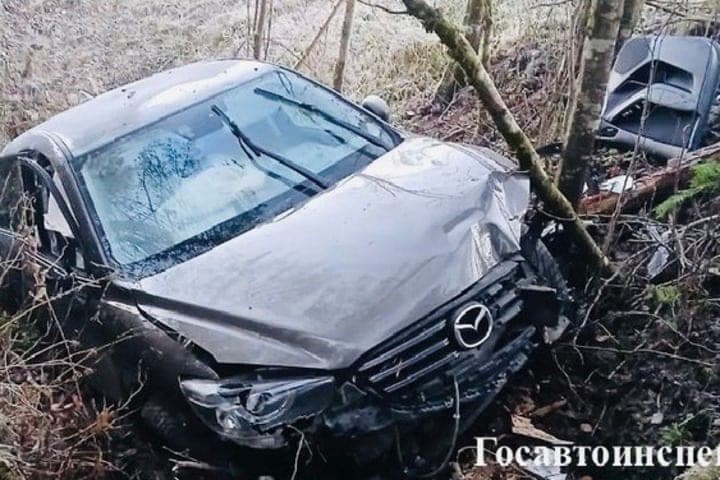 Drunk driver flew into the ditch in the Verkhovaz district, injured passengers