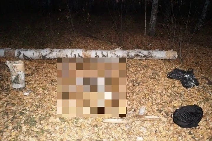 В Уварово задержали мужчину, изготавливавшего наркотики в лесополосе