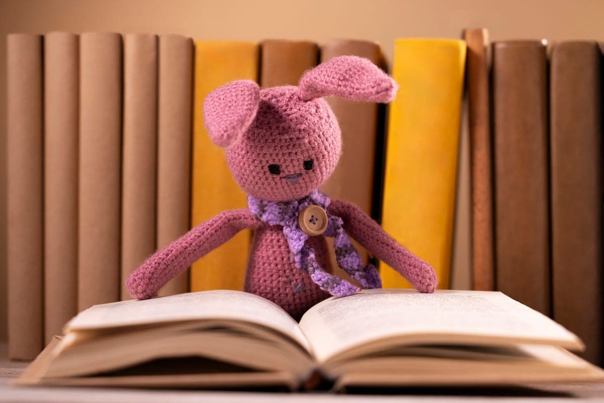 Vladimirists collect books for children