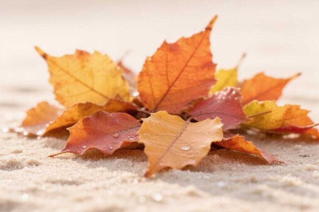 On Tuesday in the Zaporozhye region, the air will warm up to +21 degrees