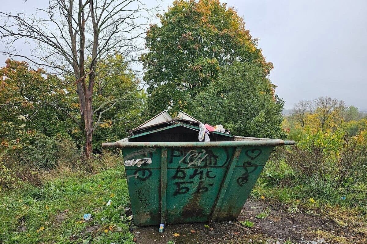 Мусорка в деревне Смерди Лужского района находится почти в километре от дома