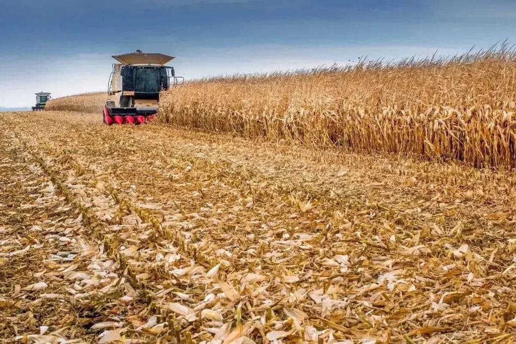 Tambov farmers celebrate a professional holiday