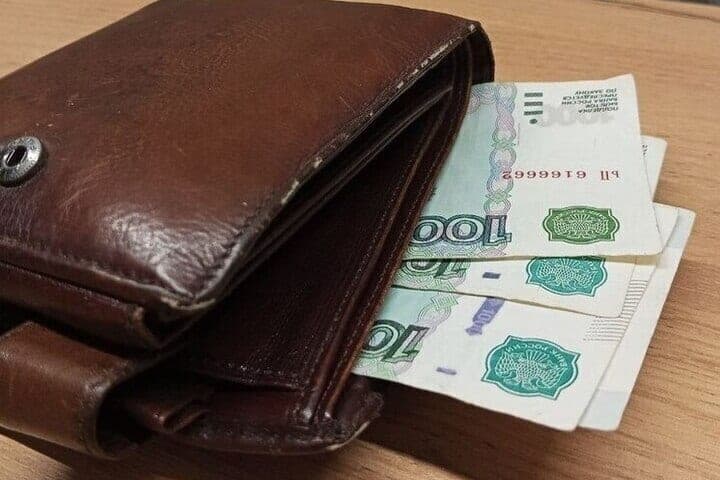 Russian teenager transferred fraudsters more than 700 thousand rubles