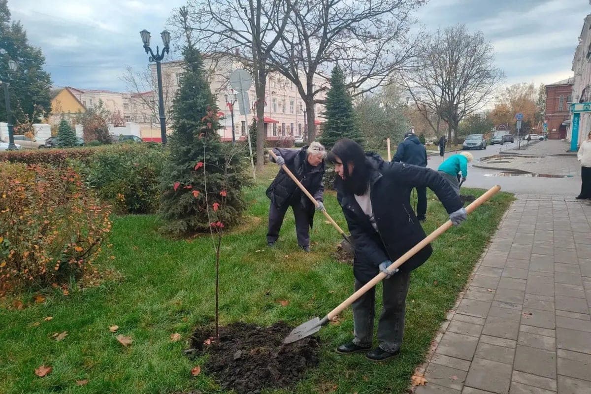 В  Тамбове высадят около 2 500 саженцев