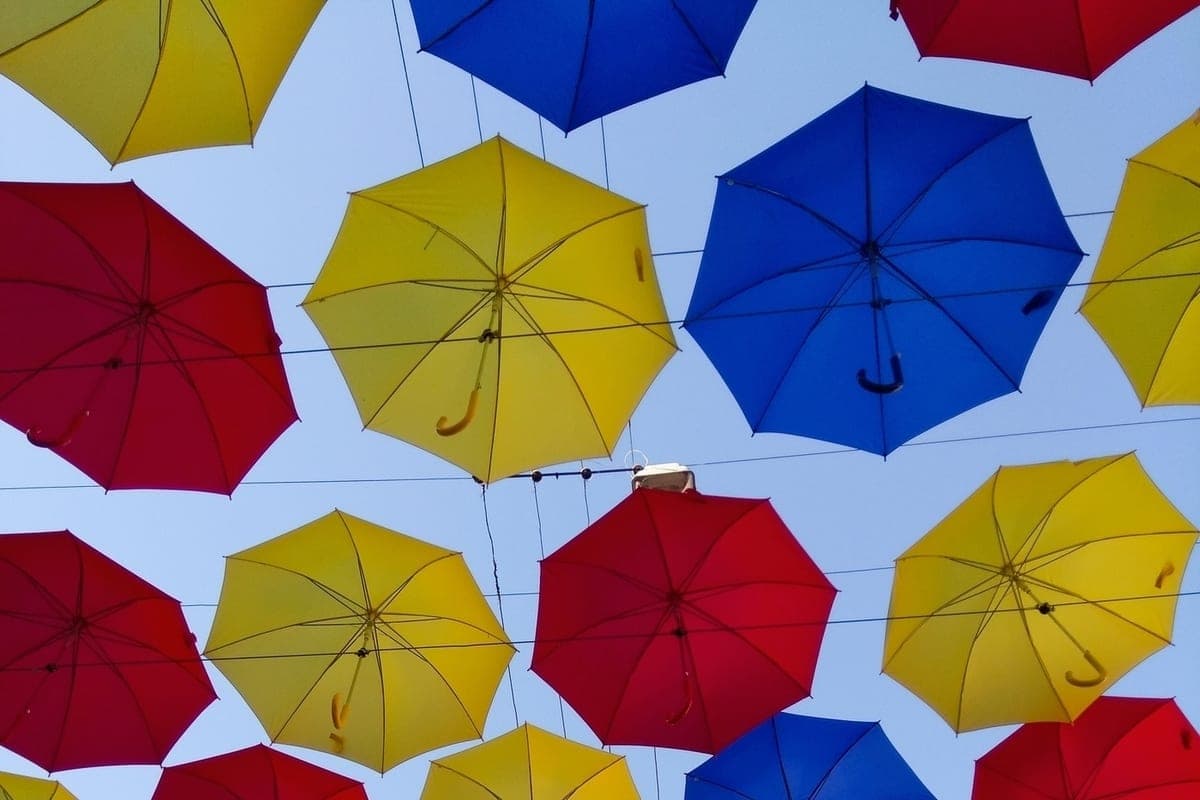 Day of colorful umbrellas: instructions for combating autumn grayness.