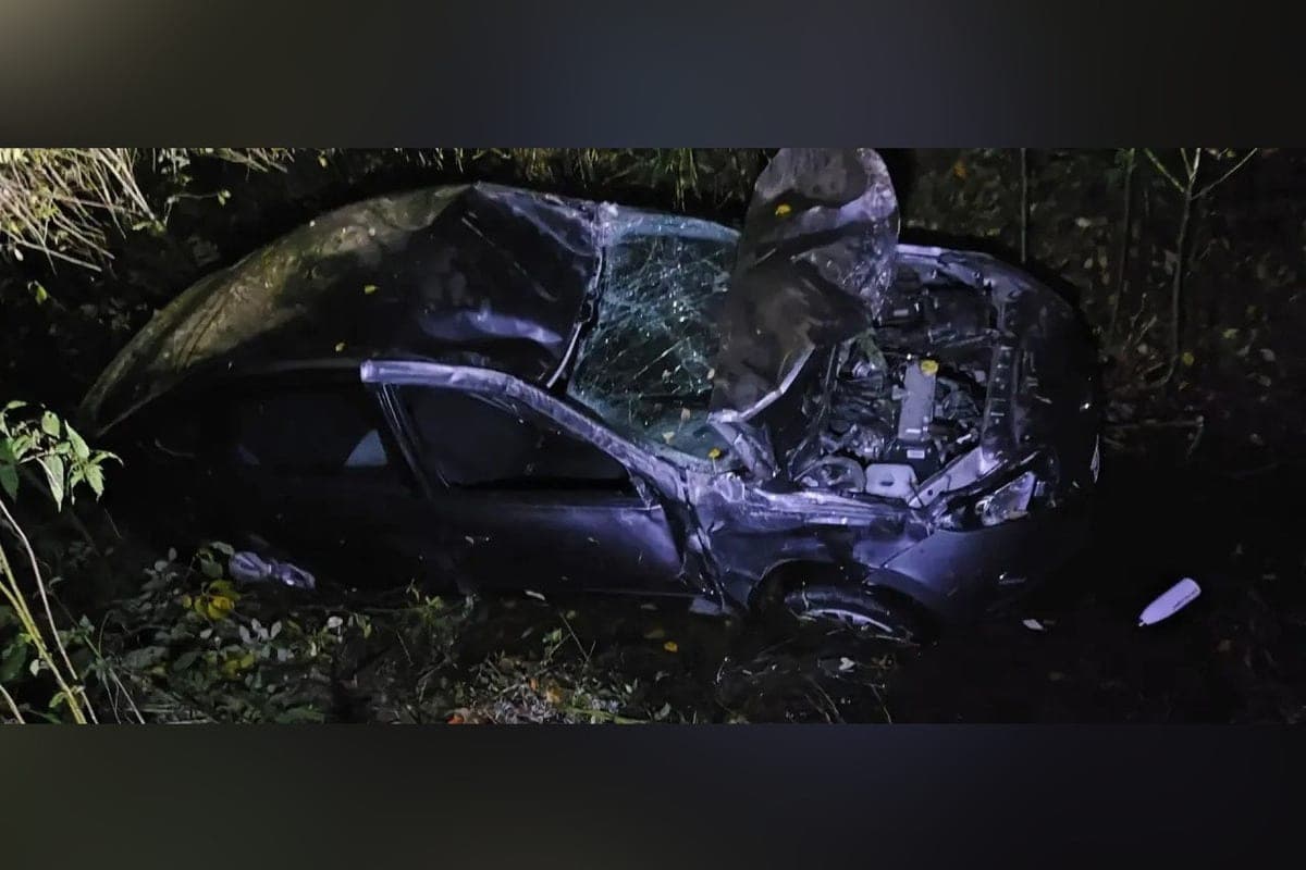 In the Novgorod district, a woman drank before the trip and rolled into a ditch