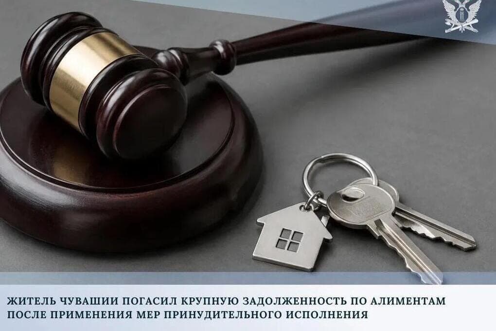 A resident of Chuvashia repaid 300 thousand rubles of alimony after the ban on property
