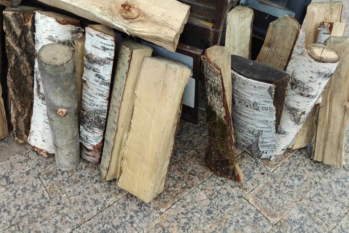 Rosprirodnadzor warned the administration of Chernyakhov district because of the dumping of wood waste