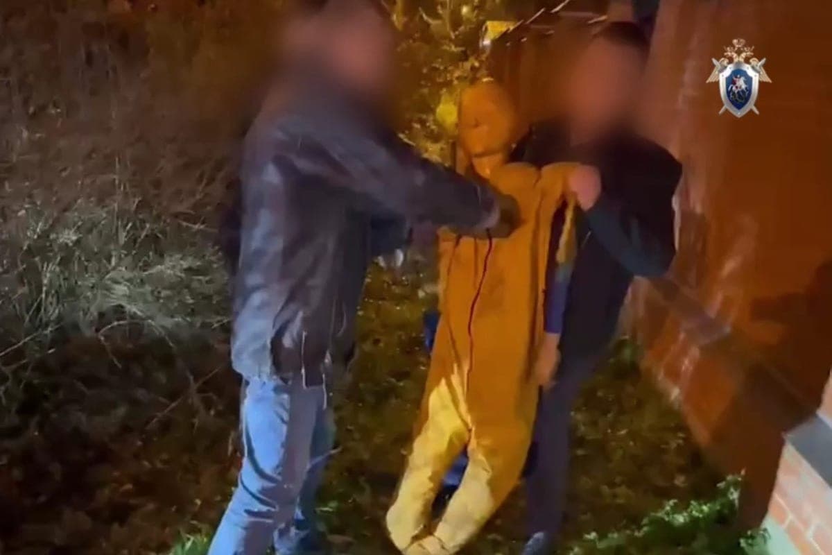 “Trained grandmother”: new details of a brutal murder due to inheritance
