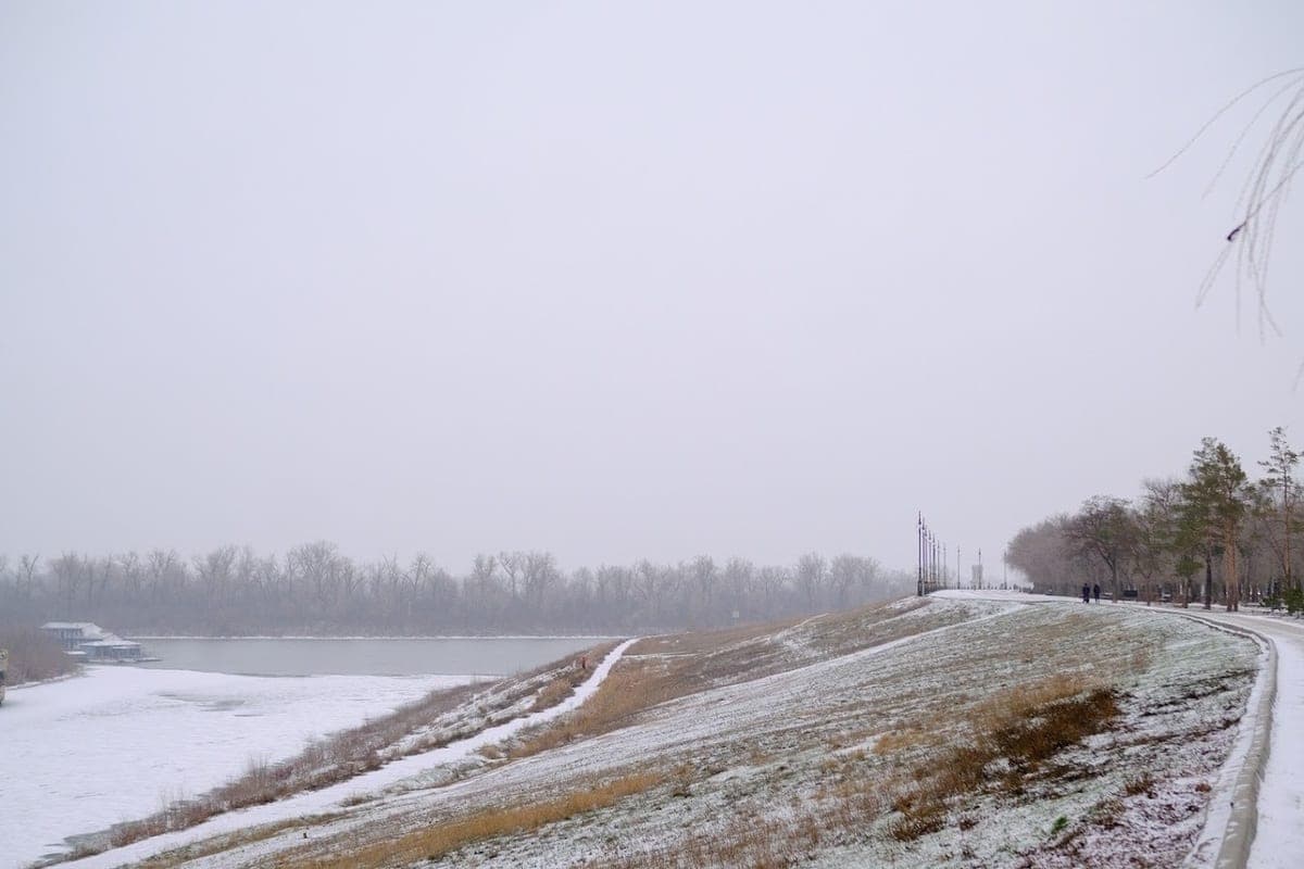 Is it possible to meet a viper in winter, explained Volgograd