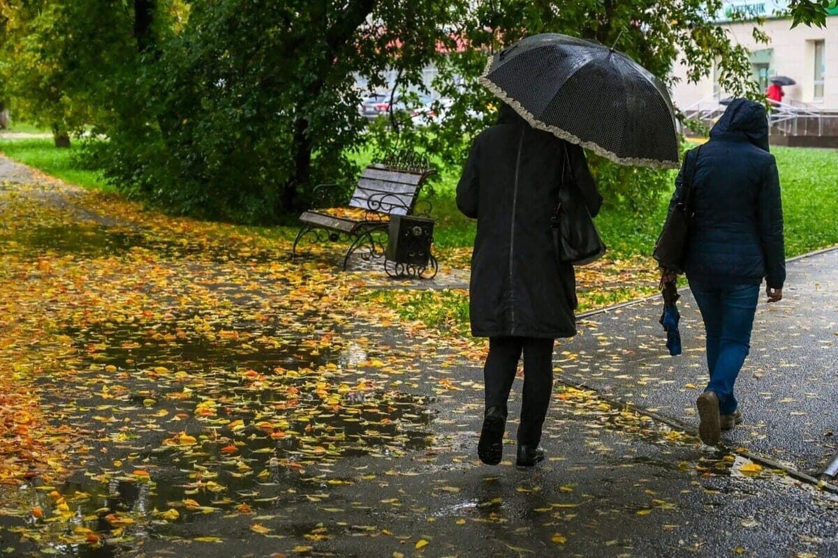 The mayor of Chelyabinsk instructed to control the supply of heat and cleaning of foliage