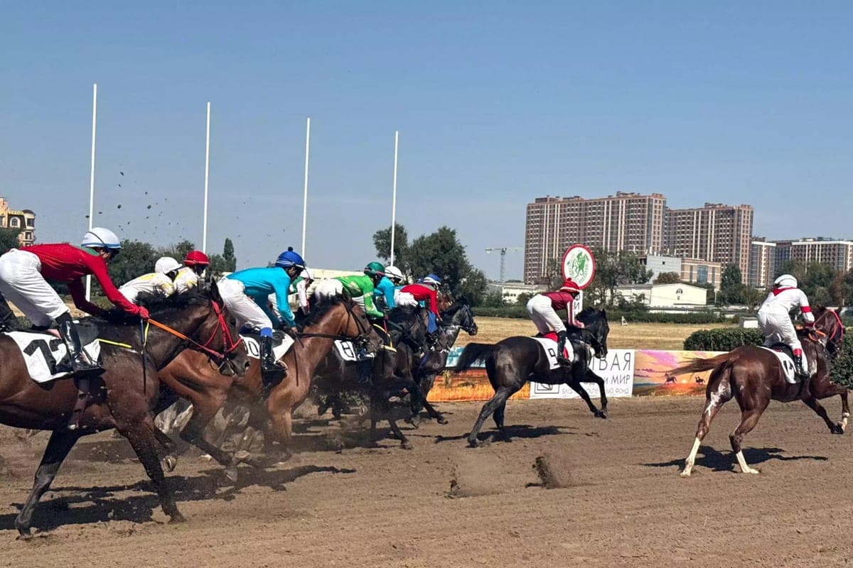 Rostov racetrack will update the database of horses