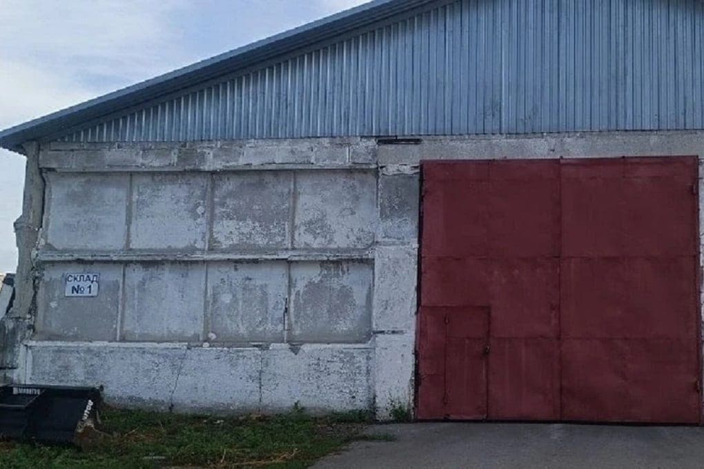 At the Altai enterprise revealed pests and violation of grain storage conditions