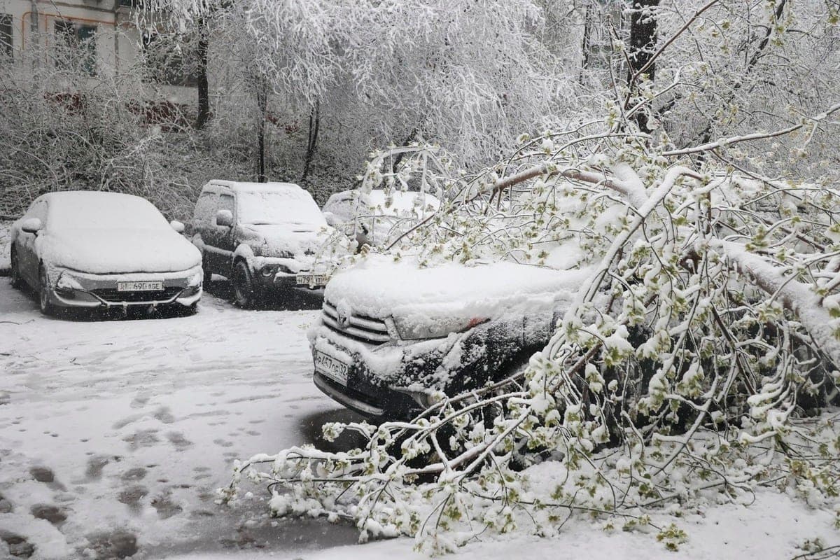 Forecaster predicted a powerful snowfall in Siberia