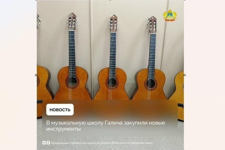 Музыкальная школа Галича получила новые инструменты