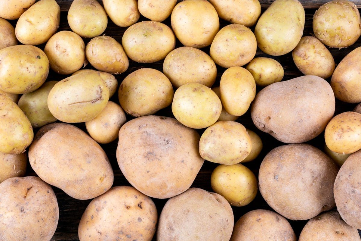 In Novosibirsk, potato prices decreased amid harvest