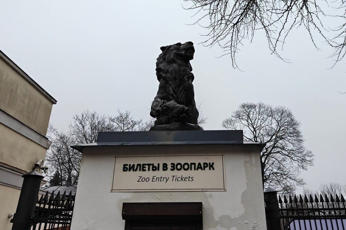 Для муравьеда Мурашки в Калининградском зоопарке построили бассейн