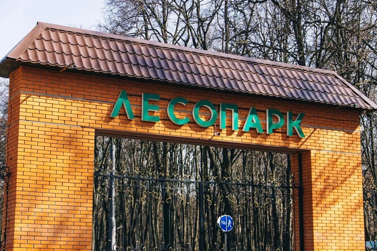 В рязанском Лесопарке отметят День отца