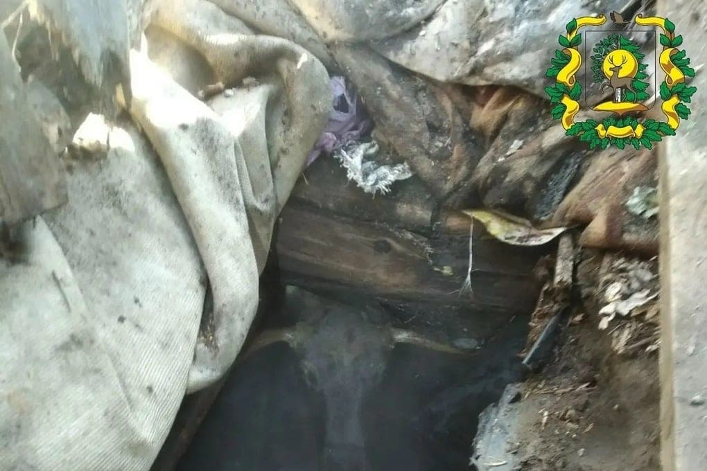 Лося, застрявшего в погребе, вытащили экскаватором в Починках