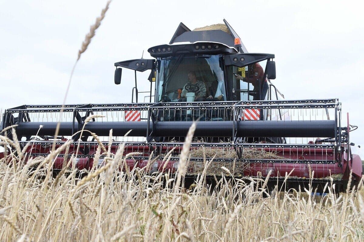 In the Ivanovo region called leaders of the harvesting campaign