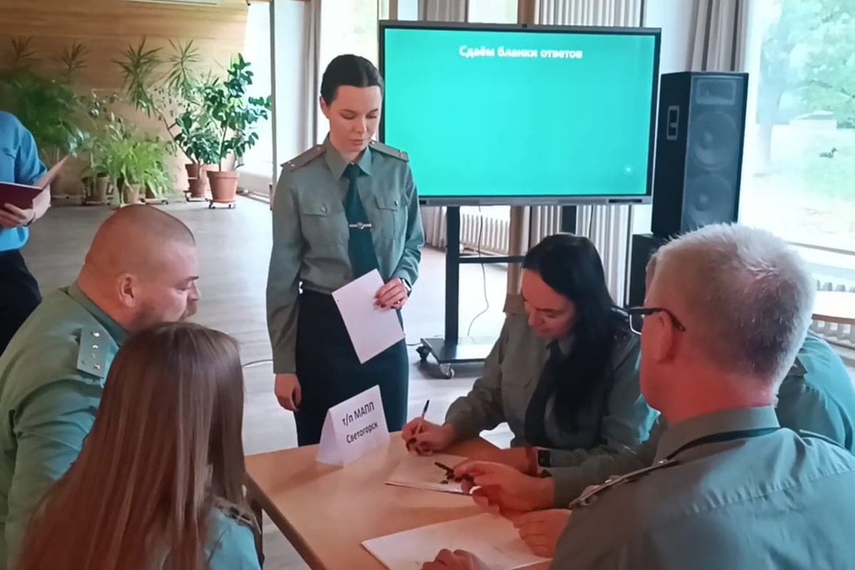 Employees of the Vyborg customs identified their best experts-intellectuals