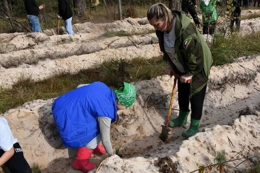 In the Ryazan region planted more than 10 thousand new trees