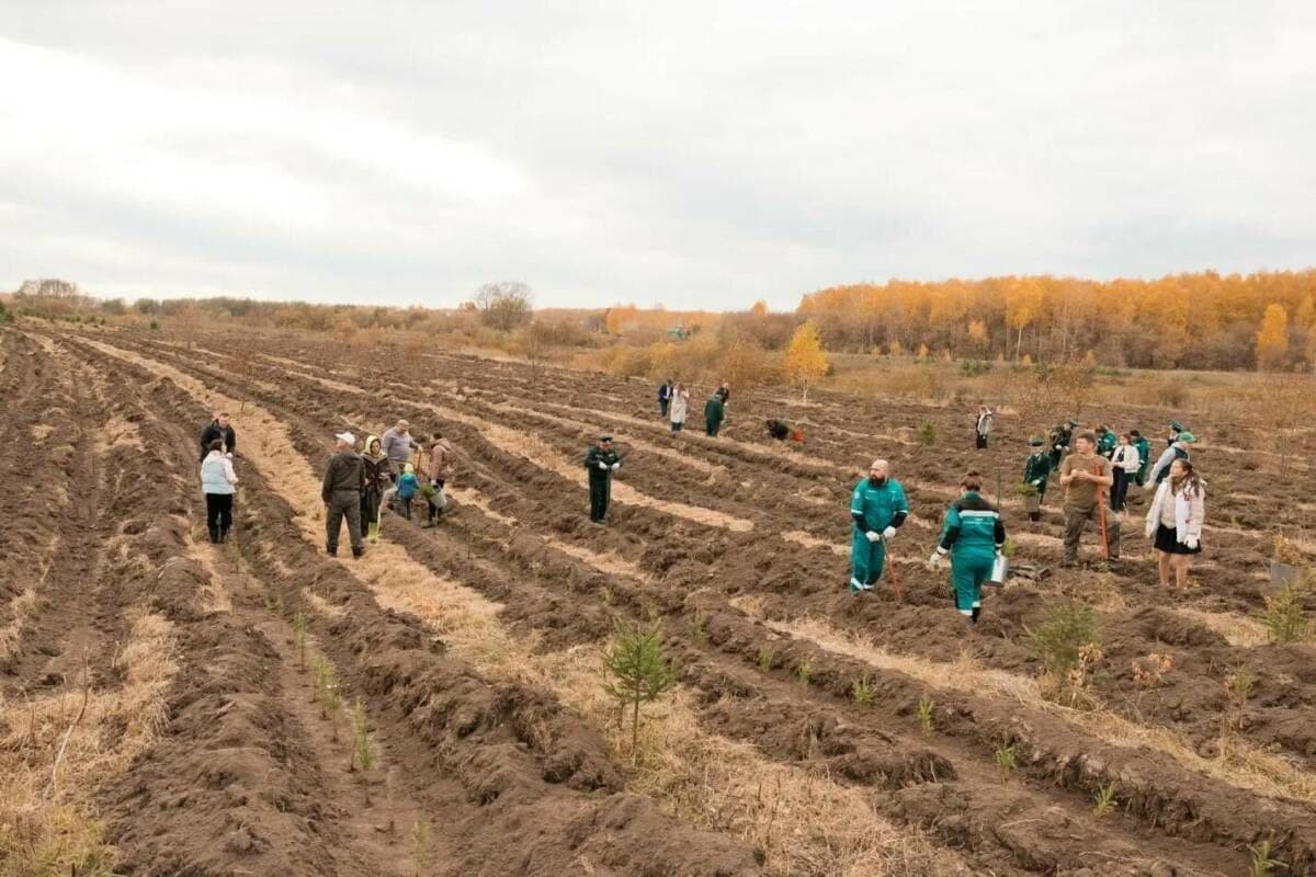 В Арском районе Татарстана посадят деревья для защиты Казанки