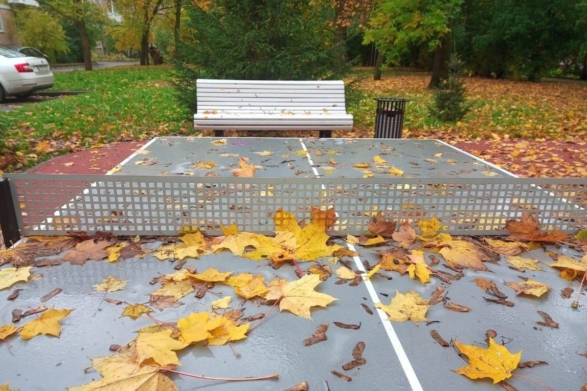 A little rain and up to 12 degrees: what the weather will be in the Leningrad region on October 11