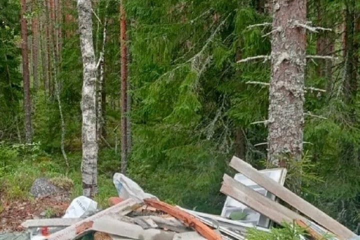 В лесах Пряжинского района ликвидировали крупную незаконную свалку
