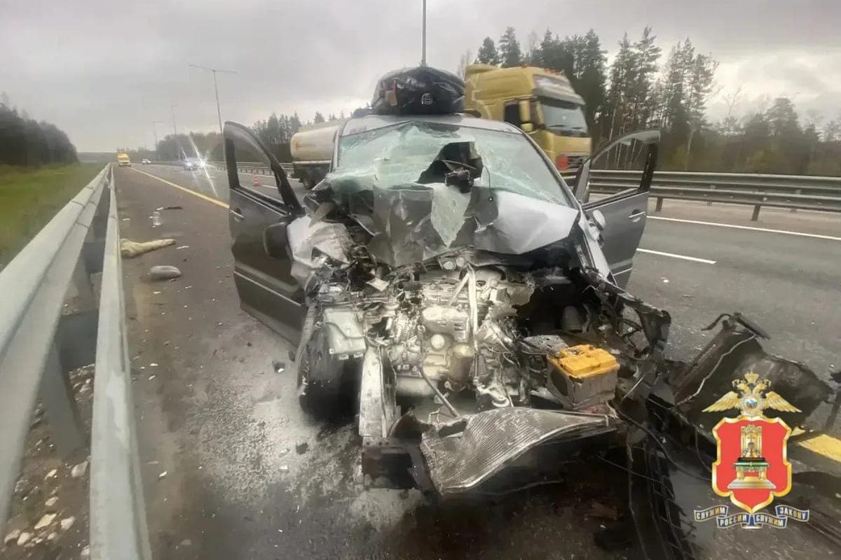 Семь человек пострадали в аварии на М-11 в Тверской области