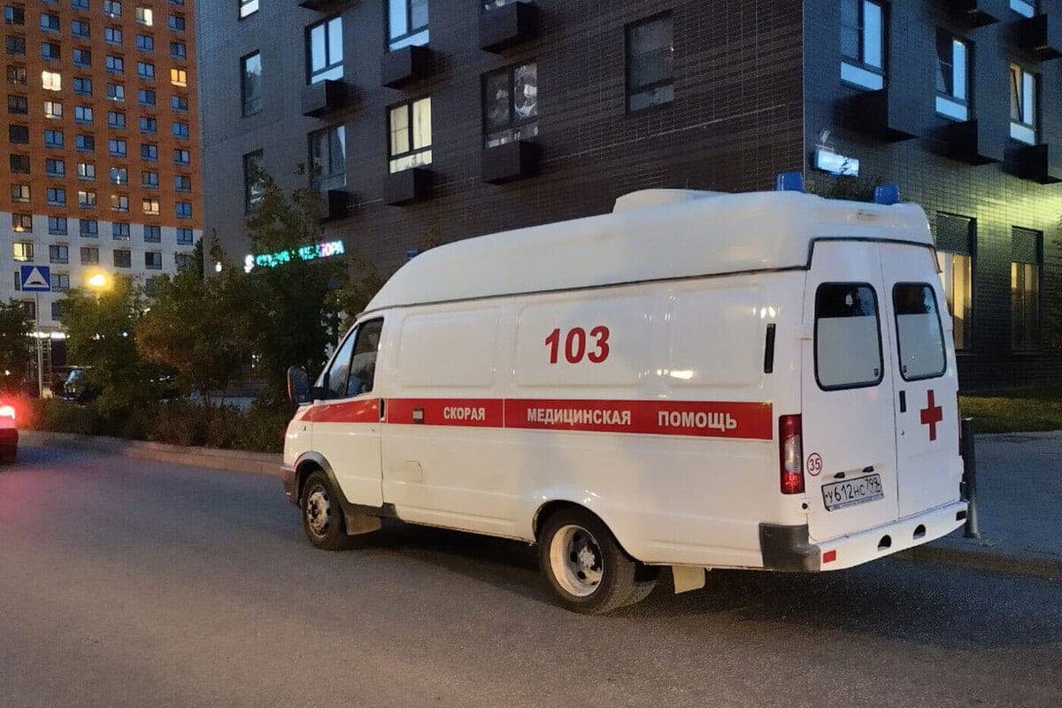 Pedestrian killed after being hit by bus in southern Moscow