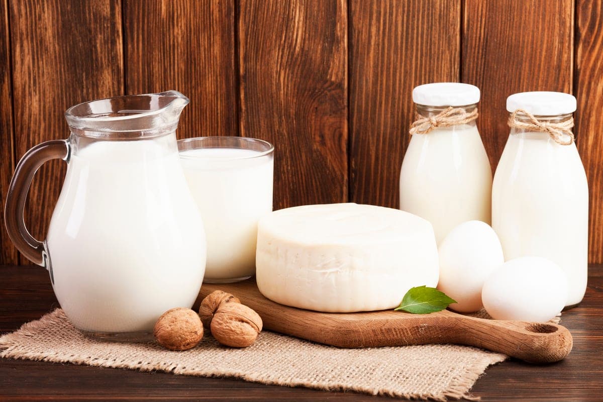 Named violations in the production of milk in the Novosibirsk region