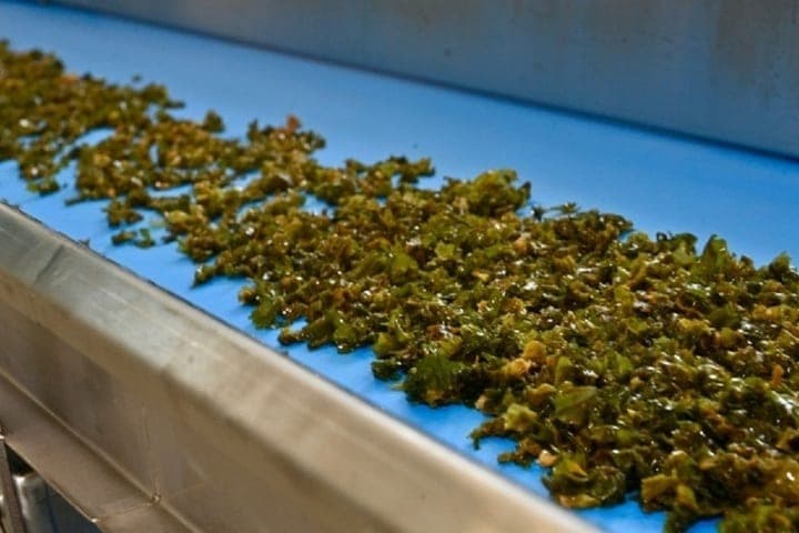 Karelia Bets on White Sea Resources Processing as Part of Russia’s New Bioeconomic Strategy