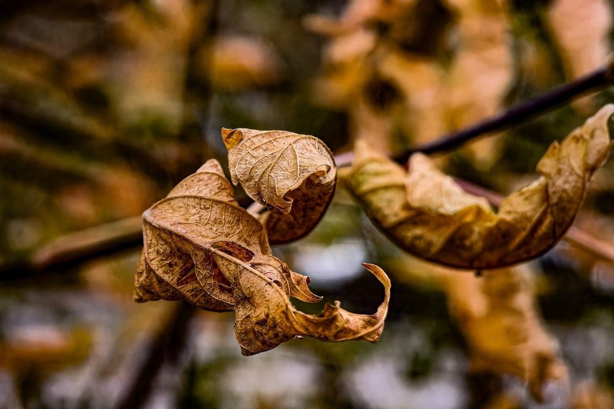 Wet snow and ice await Tomsk on October 28